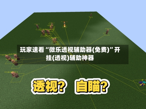 玩家速看“微乐透视辅助器(免费)”开挂(透视)辅助神器-第2张图片