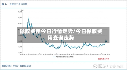 橡胶费用今日行情走势/今日橡胶费用查询走势-第3张图片
