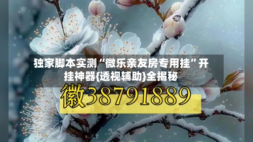 独家脚本实测“微乐亲友房专用挂”开挂神器{透视辅助}全揭秘-第2张图片