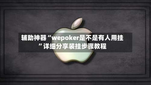 辅助神器“wepoker是不是有人用挂”详细分享装挂步骤教程-第3张图片