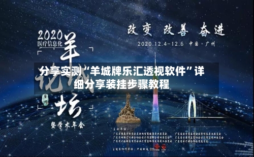 分享实测“羊城牌乐汇透视软件”详细分享装挂步骤教程-第2张图片