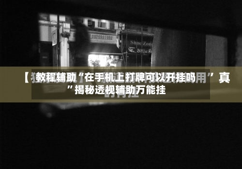 教程辅助“在手机上打牌可以开挂吗	”揭秘透视辅助万能挂-第2张图片