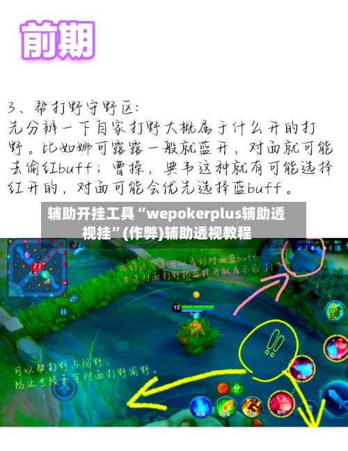 辅助开挂工具“wepokerplus辅助透视挂”(作弊)辅助透视教程-第3张图片
