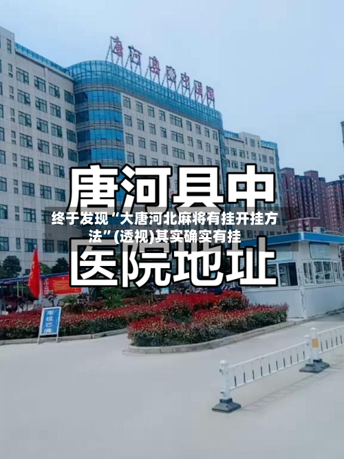 终于发现“大唐河北麻将有挂开挂方法	”(透视)其实确实有挂-第2张图片