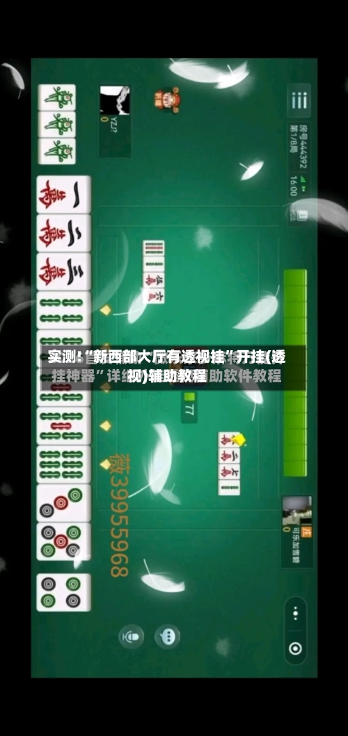 实测!“新西部大厅有透视挂”开挂(透视)辅助教程