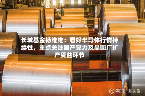 长城基金杨维维：看好半导体行情持续性，重点关注国产算力及晶圆厂扩产受益环节-第2张图片