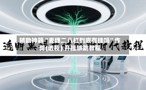 辅助神器“麦穗二八杠到底有挂吗	”作弊(透视) 开挂辅助教程-第2张图片