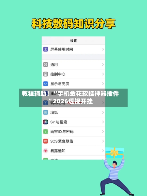 教程辅助！“手机金花软挂神器插件	”2026透视开挂-第2张图片