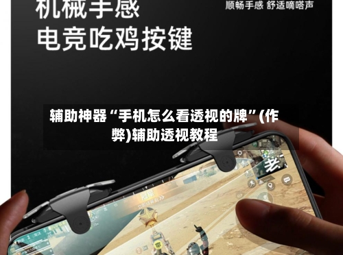 辅助神器“手机怎么看透视的牌”(作弊)辅助透视教程-第3张图片