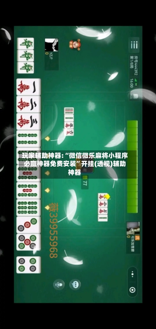 玩家辅助神器:“微信微乐麻将小程序必赢神器免费安装”开挂(透视)辅助神器-第2张图片