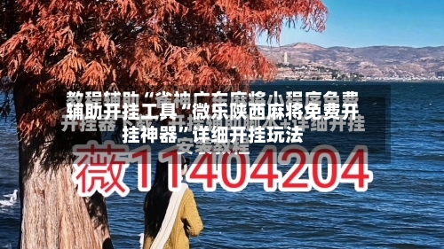 辅助开挂工具“微乐陕西麻将免费开挂神器	”详细开挂玩法-第2张图片