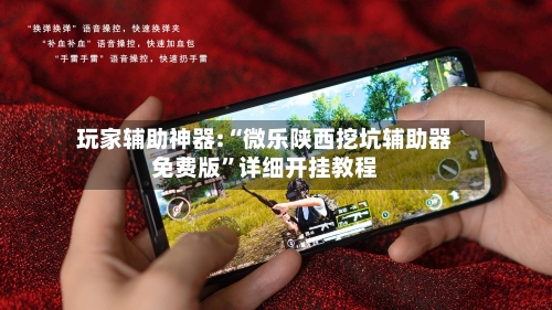 玩家辅助神器:“微乐陕西挖坑辅助器免费版”详细开挂教程-第2张图片