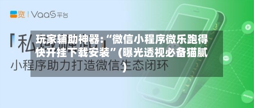 玩家辅助神器:“微信小程序微乐跑得快开挂下载安装”(曝光透视必备猫腻)-第2张图片