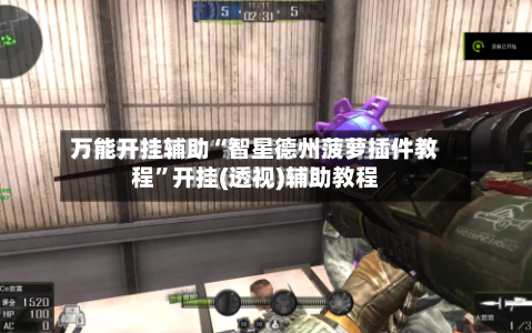 万能开挂辅助“智星德州菠萝插件教程	”开挂(透视)辅助教程-第2张图片