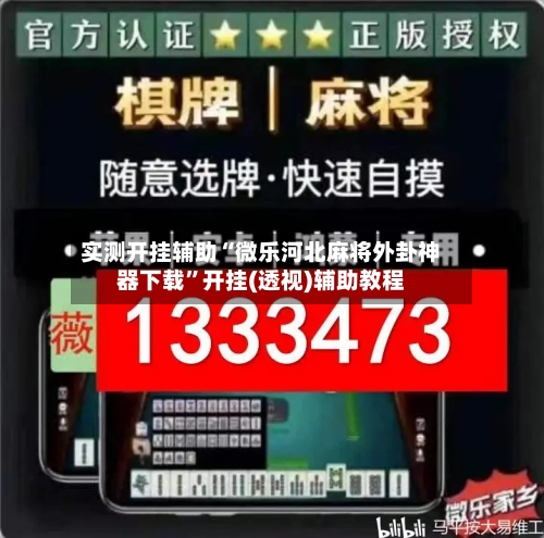 实测开挂辅助“微乐河北麻将外卦神器下载	”开挂(透视)辅助教程-第2张图片