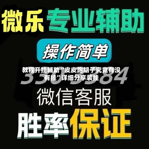 教程开挂辅助“皮皮跑胡子究竟有没有挂”详细分享装挂