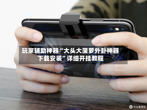 玩家辅助神器“大头大菠萝外卦神器下载安装”详细开挂教程-第2张图片