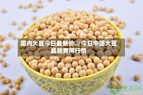 国内大豆今日最新价佫/今日中国大豆最新费用行情-第3张图片