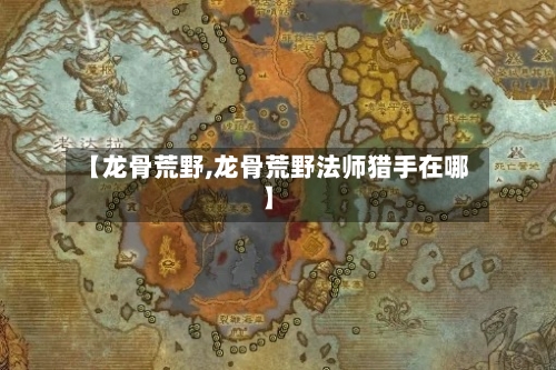 【龙骨荒野,龙骨荒野法师猎手在哪】-第3张图片