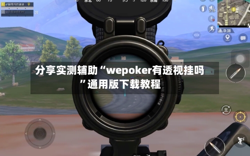 分享实测辅助“wepoker有透视挂吗”通用版下载教程-第2张图片