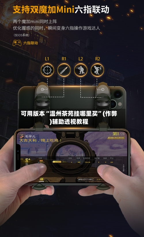 可用版本“温州茶苑挂哪里买	”(作弊)辅助透视教程-第2张图片