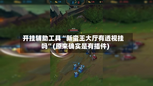 开挂辅助工具“新蛮王大厅有透视挂吗”(原来确实是有插件)-第3张图片