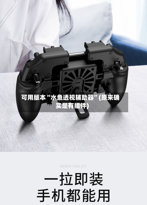 可用版本“水鱼透视辅助器”(原来确实是有插件)-第2张图片