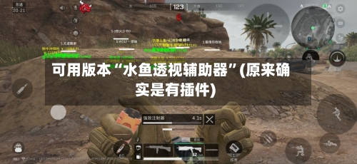 可用版本“水鱼透视辅助器”(原来确实是有插件)