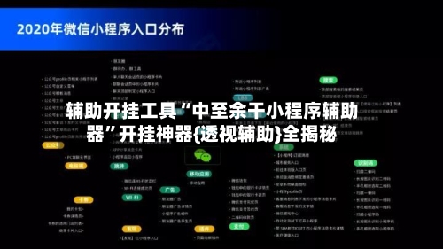 辅助开挂工具“中至余干小程序辅助器”开挂神器{透视辅助}全揭秘-第2张图片