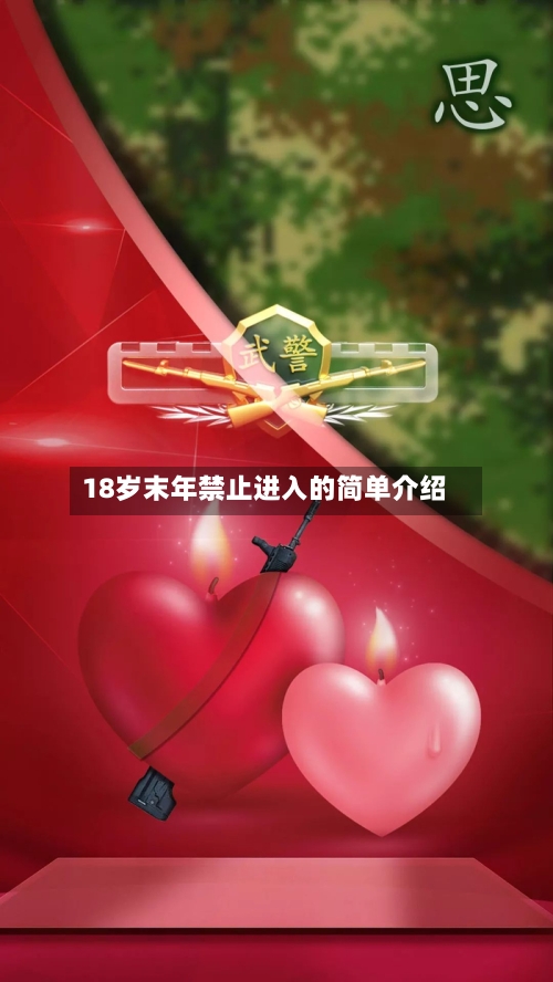 18岁末年禁止进入的简单介绍