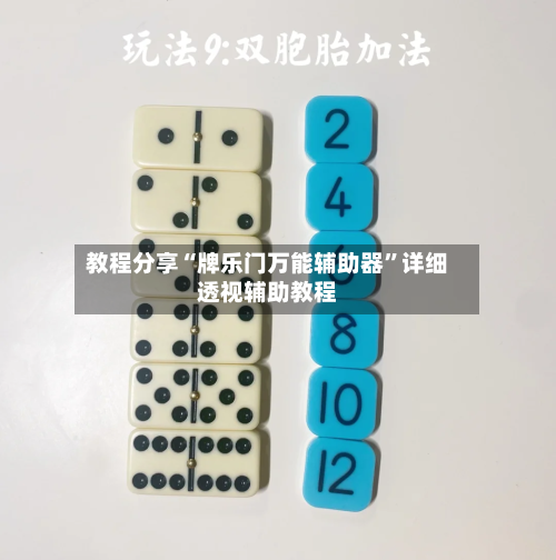 教程分享“牌乐门万能辅助器	”详细透视辅助教程-第3张图片