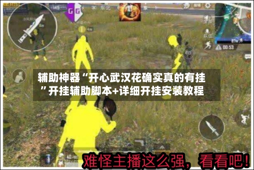 辅助神器“开心武汉花确实真的有挂”开挂辅助脚本+详细开挂安装教程