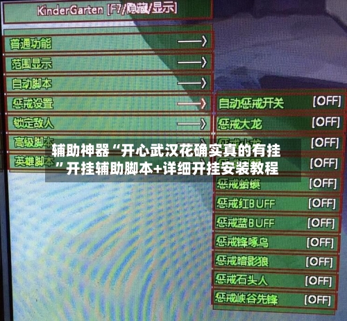 辅助神器“开心武汉花确实真的有挂”开挂辅助脚本+详细开挂安装教程-第2张图片