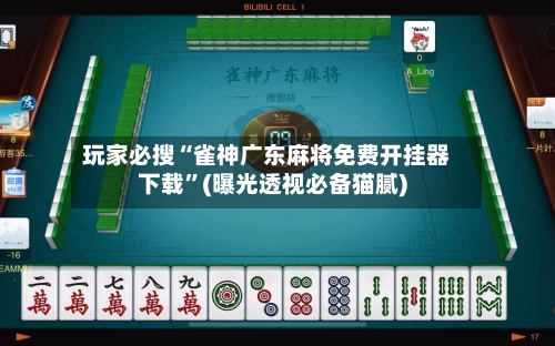 玩家必搜“雀神广东麻将免费开挂器下载	”(曝光透视必备猫腻)-第3张图片