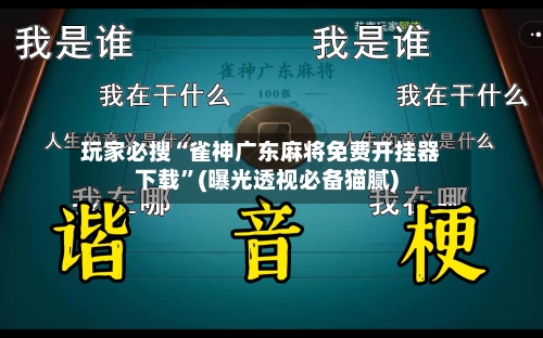 玩家必搜“雀神广东麻将免费开挂器下载”(曝光透视必备猫腻)-第2张图片