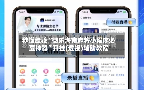 秒懂经验“微乐海南麻将小程序必赢神器”开挂(透视)辅助教程-第2张图片