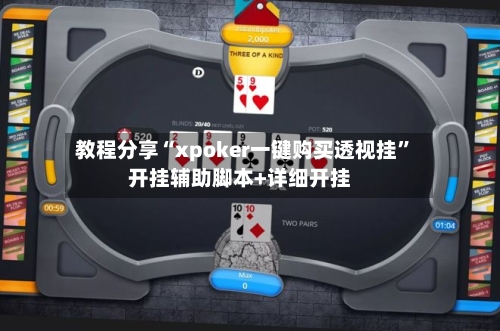教程分享“xpoker一键购买透视挂”开挂辅助脚本+详细开挂-第2张图片