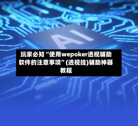 玩家必知“使用wepoker透视辅助软件的注意事项”(透视挂)辅助神器教程-第2张图片