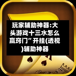 玩家辅助神器:大头游戏十三水怎么赢窍门”开挂(透视)辅助神器