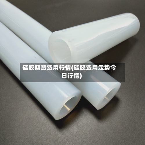 硅胶期货费用行情(硅胶费用走势今日行情)