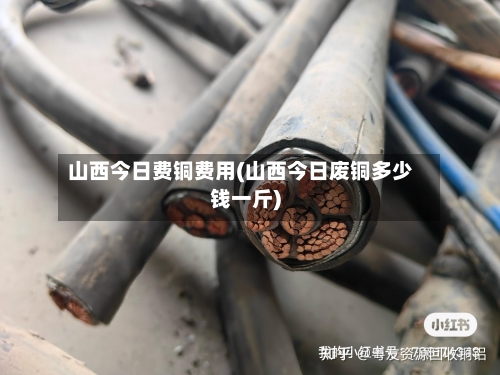 山西今日费铜费用(山西今日废铜多少钱一斤)-第3张图片