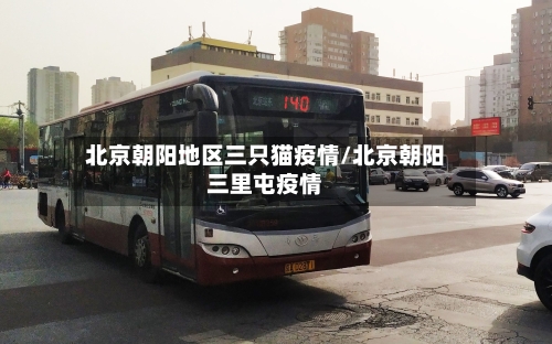 北京朝阳地区三只猫疫情/北京朝阳三里屯疫情