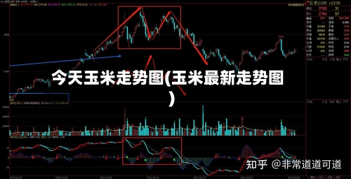 今天玉米走势图(玉米最新走势图)-第3张图片