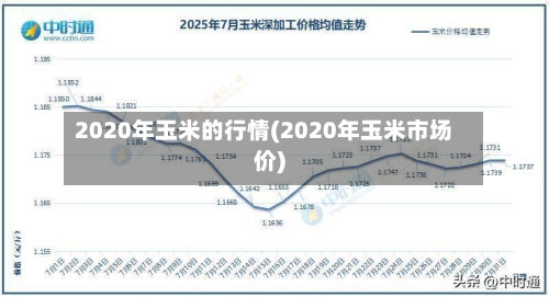 2020年玉米的行情(2020年玉米市场价)-第3张图片