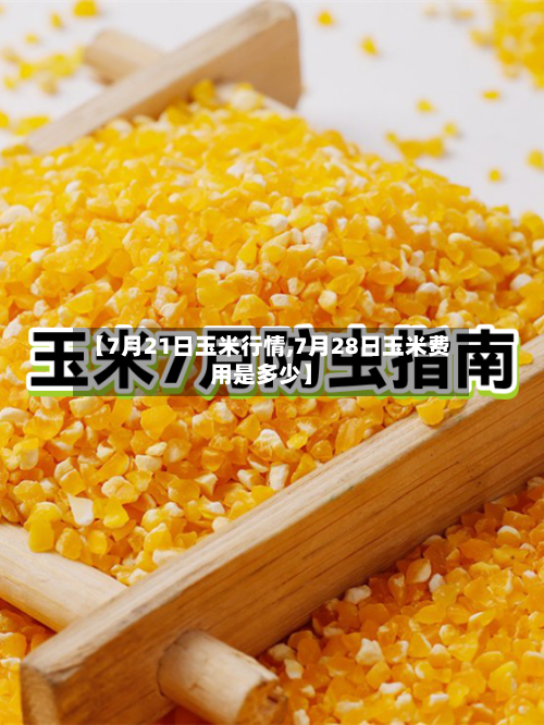 【7月21日玉米行情,7月28日玉米费用是多少】