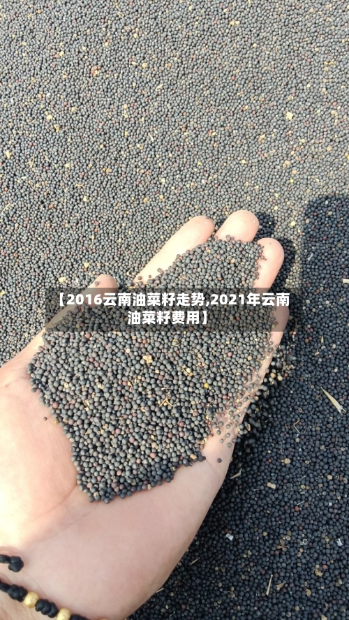 【2016云南油菜籽走势,2021年云南油菜籽费用】