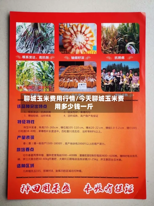 聊城玉米费用行情/今天聊城玉米费用多少钱一斤
