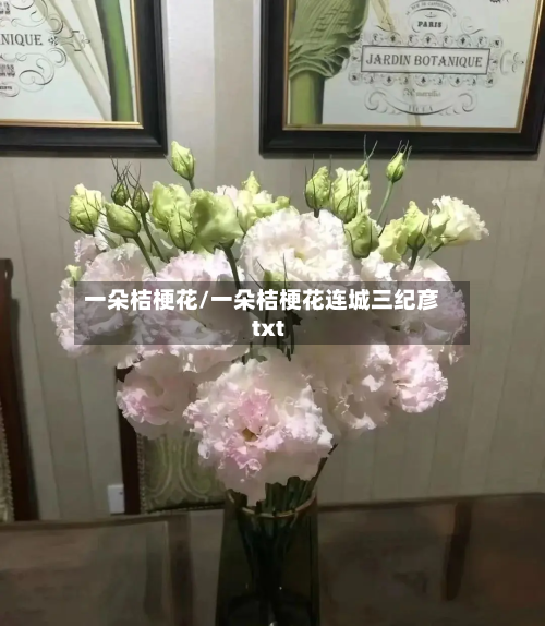 一朵桔梗花/一朵桔梗花连城三纪彦txt-第3张图片