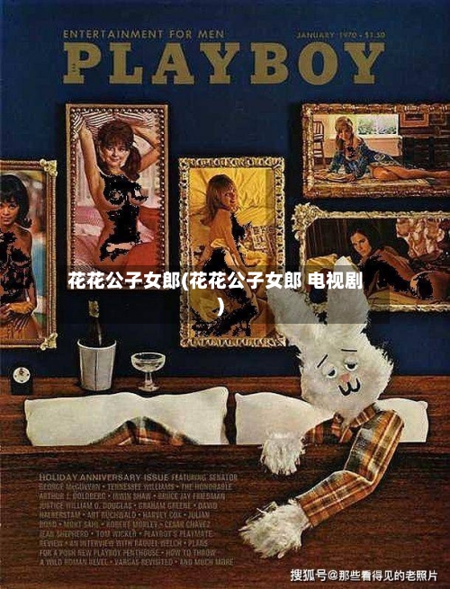 花花公子女郎(花花公子女郎 电视剧)-第2张图片
