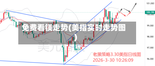 免费看镁走势(美指实时走势图)